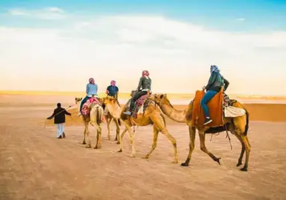 camel-trekking-jeddah-thumb