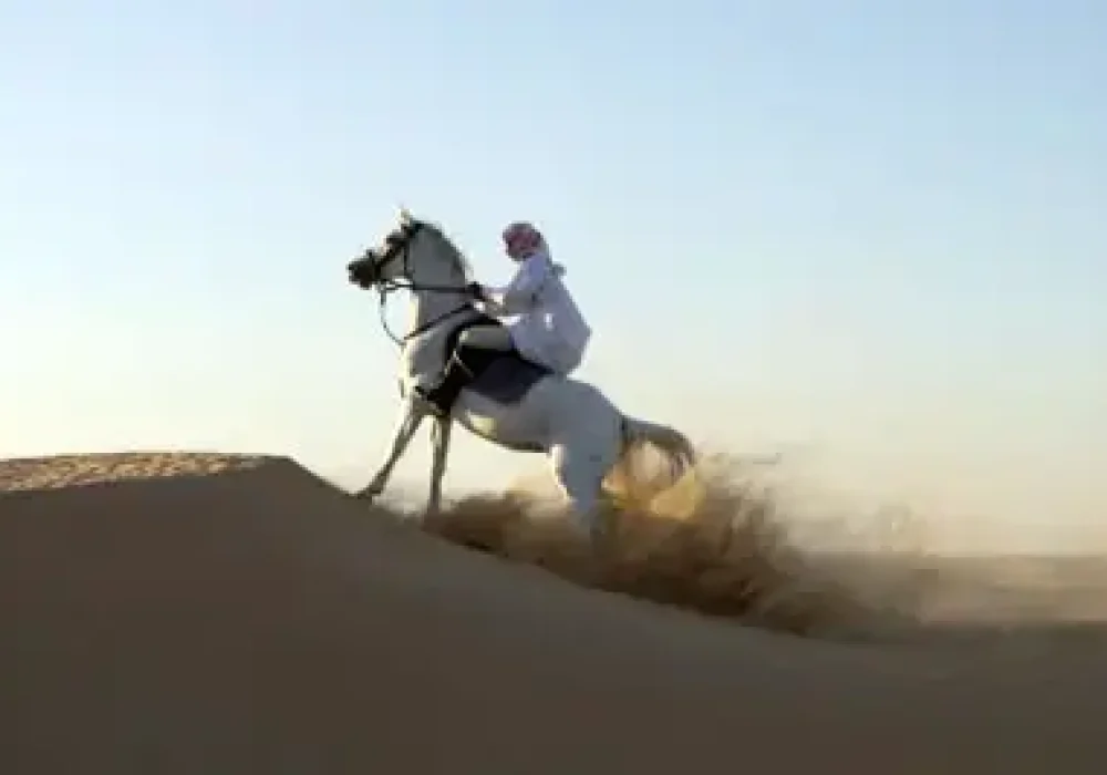 desert-horse-riding-jeddah-thumb